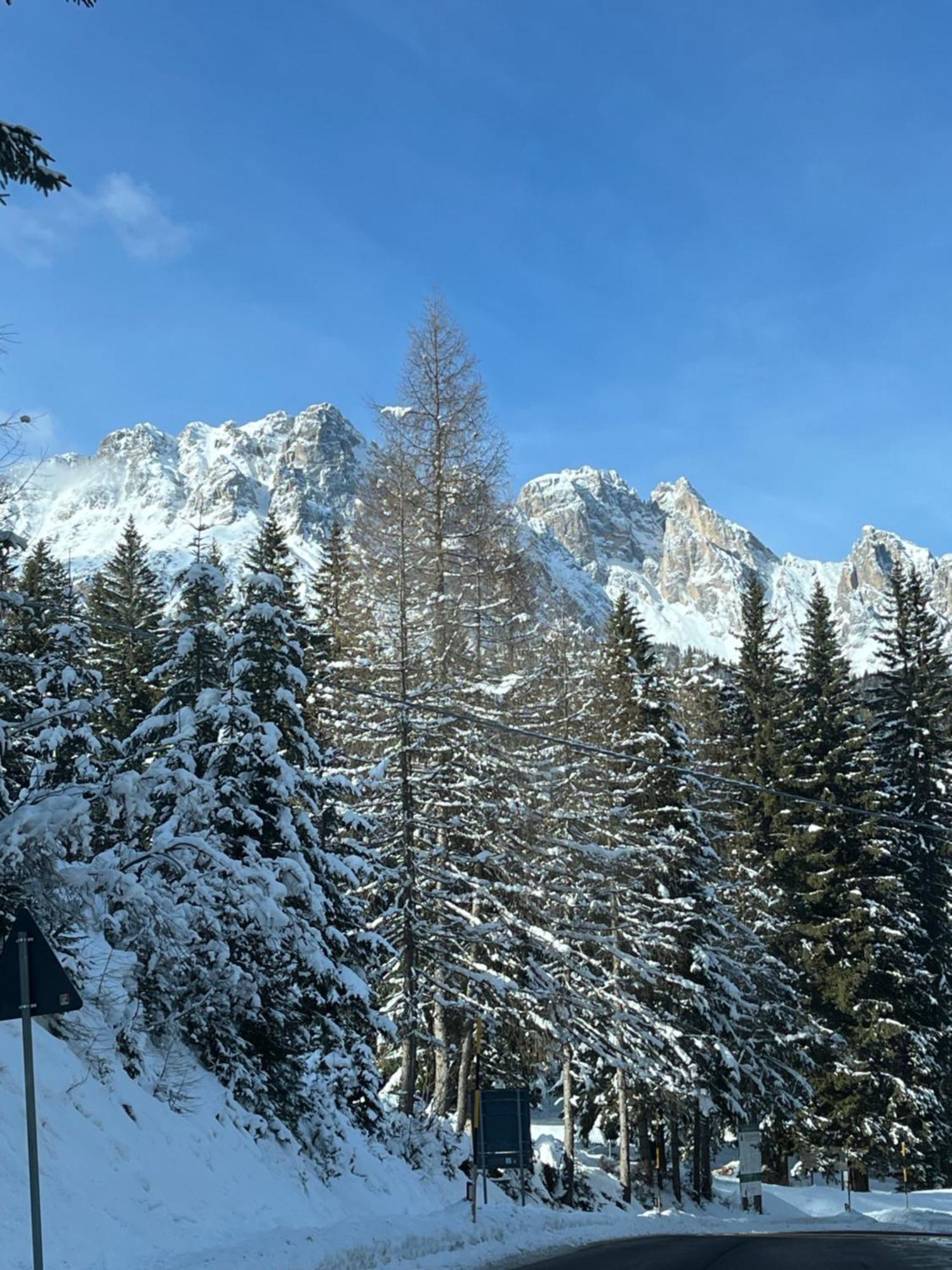 Chalet Delle Dolomiti Pieve di Cadore Εξωτερικό φωτογραφία